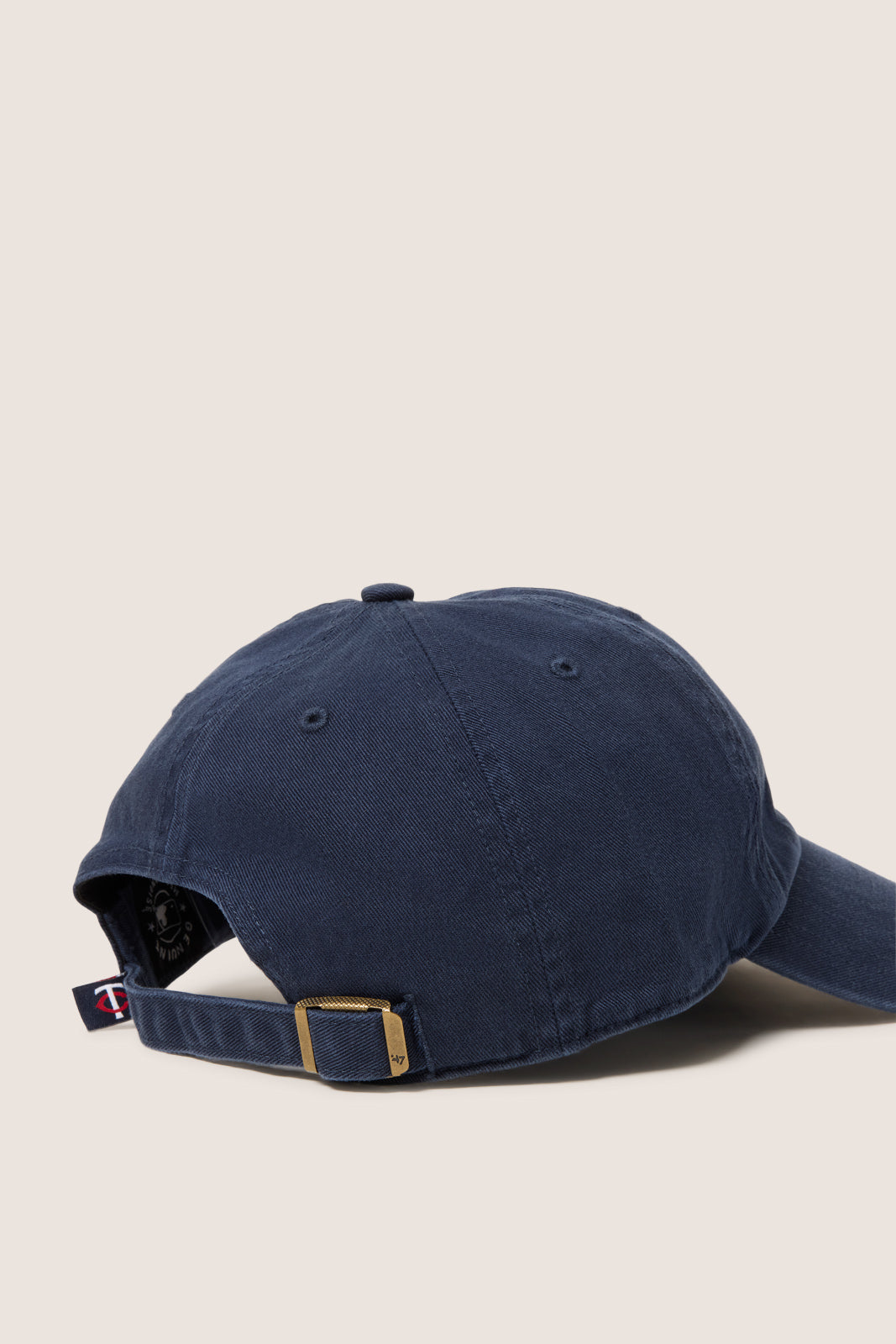 Minnesota Twins Baseball Hat
