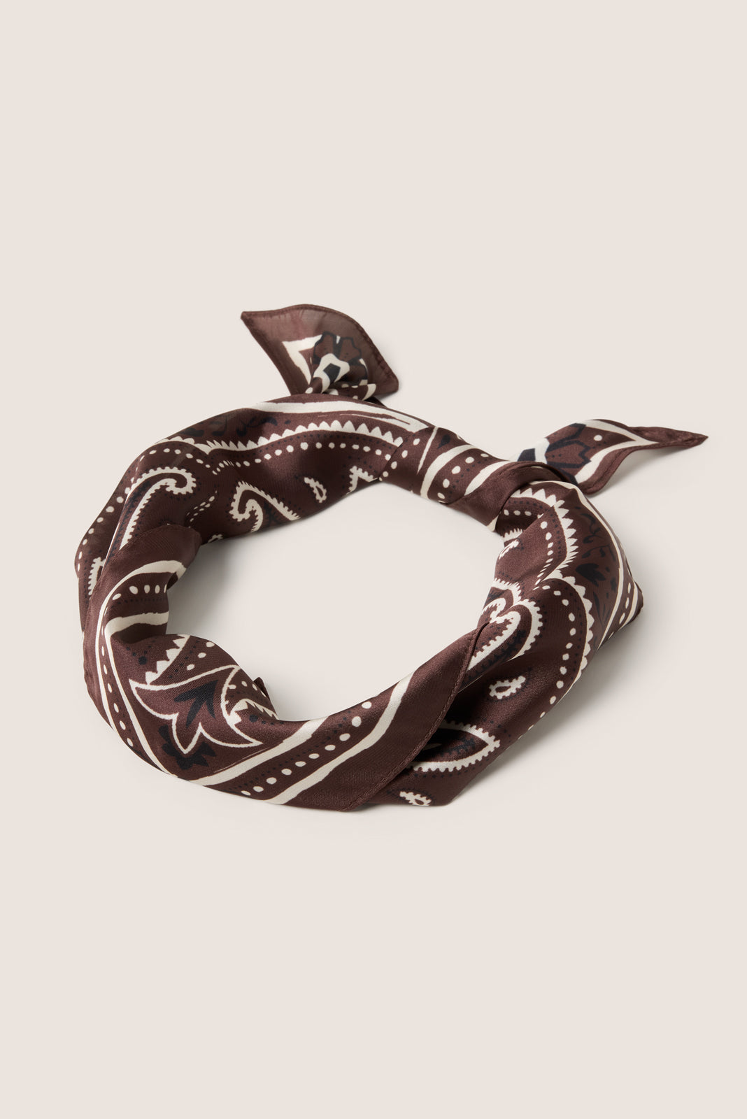 Kyla Paisley Bandana