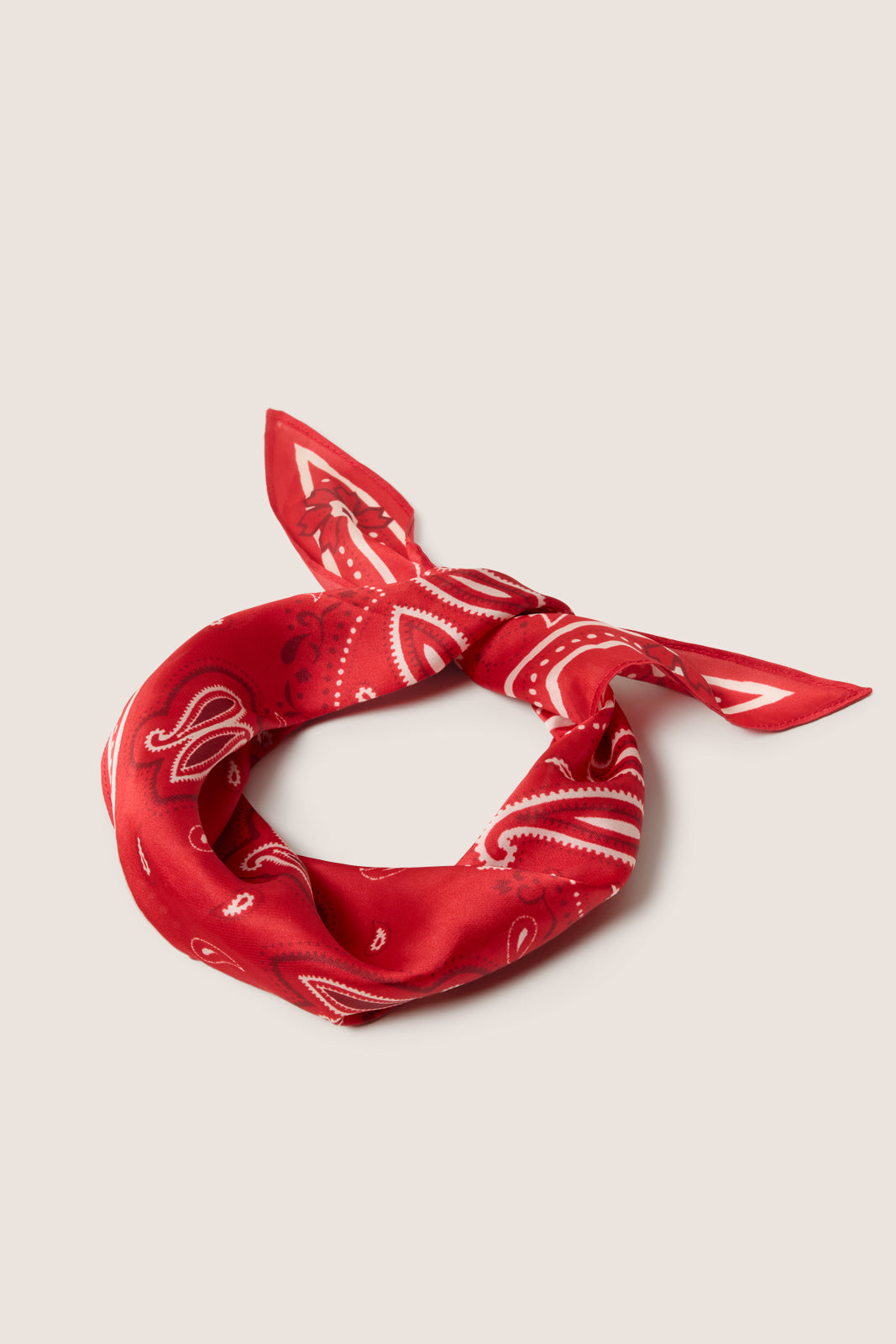 Kyla Paisley Bandana