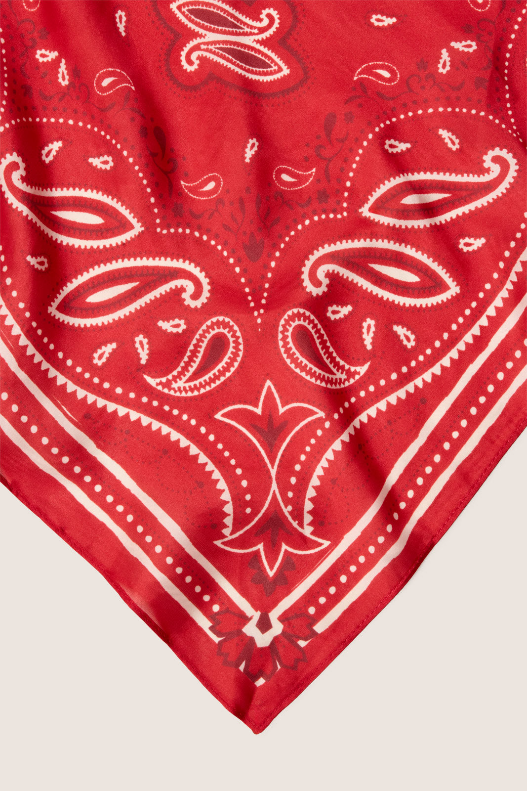 Kyla Paisley Bandana