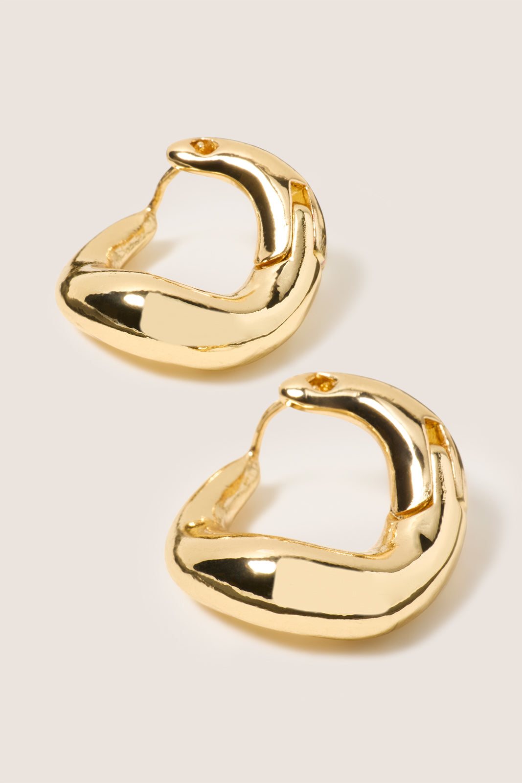 Rylee Small Hoop Earring