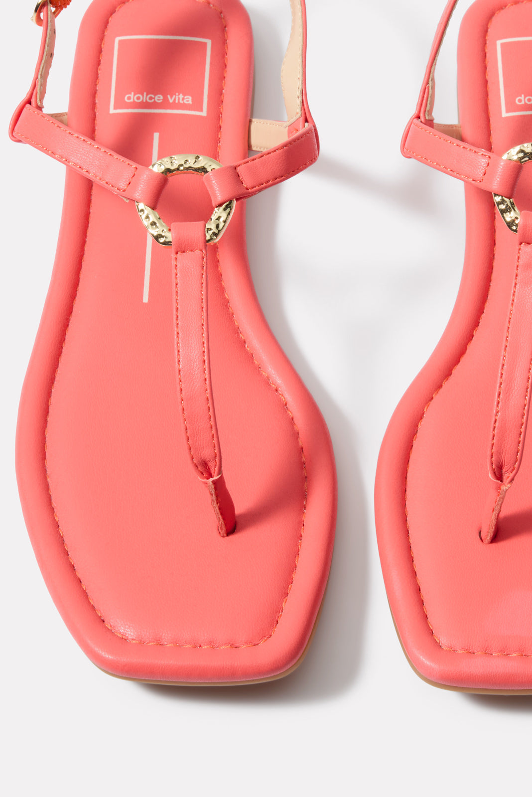 Lorene T Strap