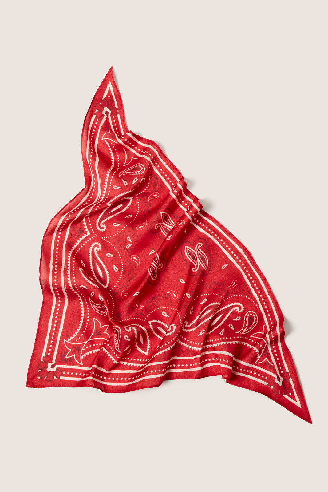 Kyla Paisley Bandana