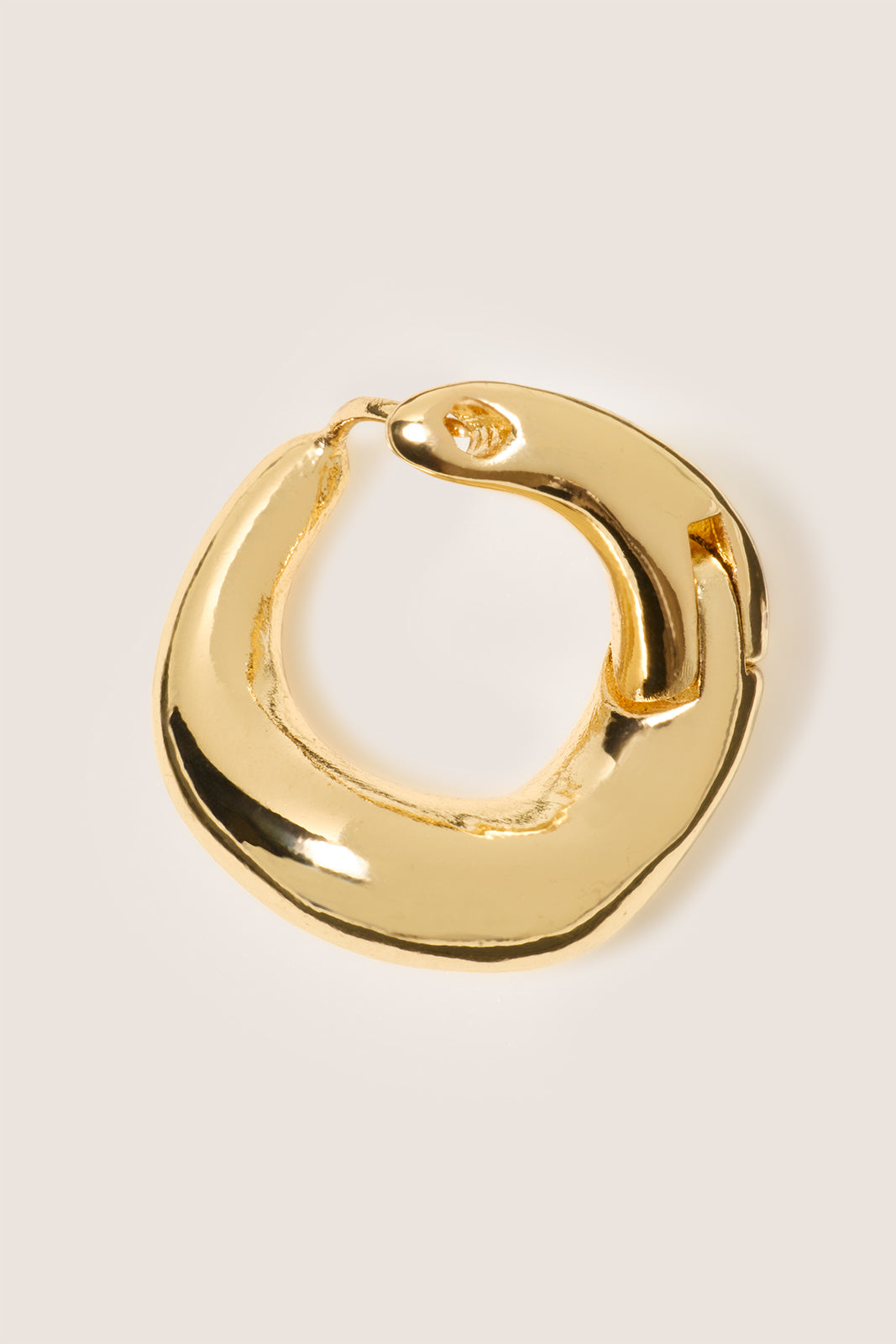 Rylee Small Hoop Earring
